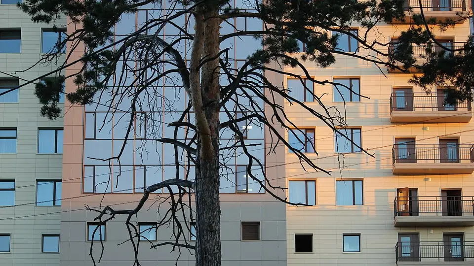 Novosibirsk Devlet Üniversitesi kampüsü